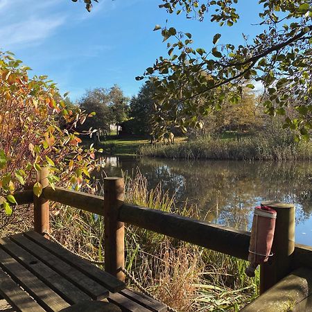 Hazel Oaks, Beautiful Lodge With Hot Tub - Sleeps 6 - Felmoor Park Morpeth Extérieur photo