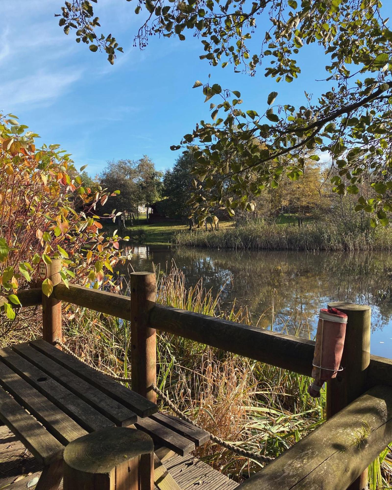 Hazel Oaks, Beautiful Lodge With Hot Tub - Sleeps 6 - Felmoor Park Morpeth Extérieur photo